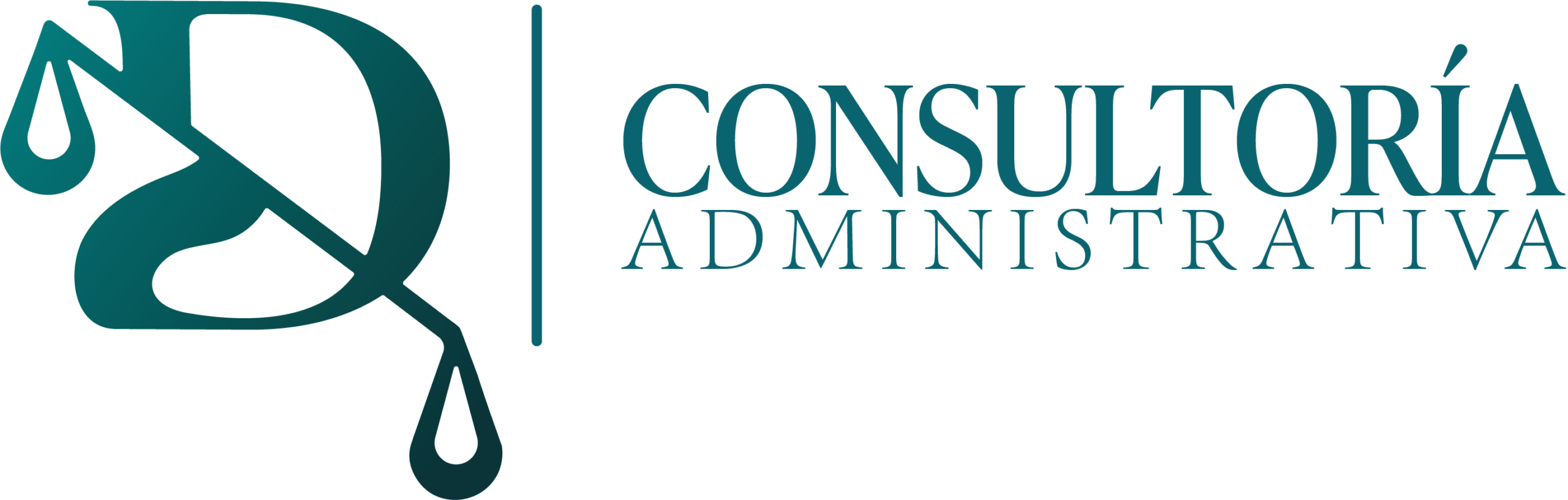 CONSULTORIA ADMINISTRATIVA DMM